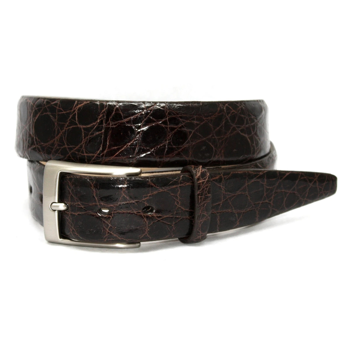 Genuine Glazed South American Caiman